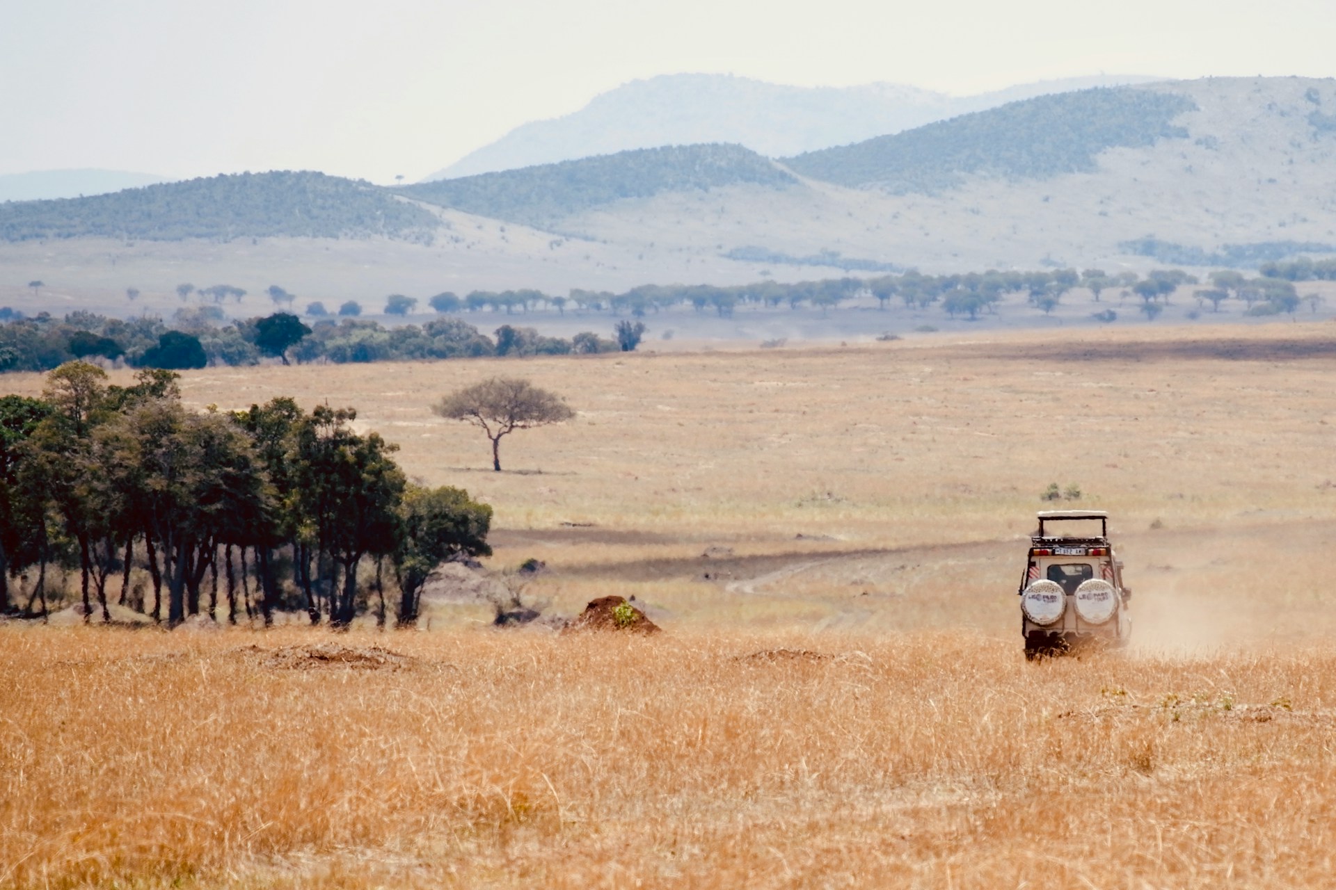Maasai Mara Game Drives