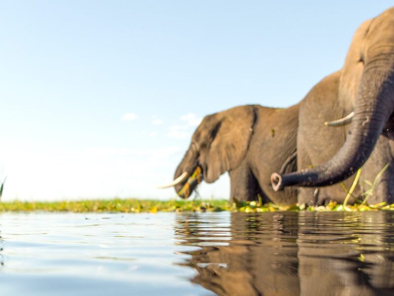 Photography in Kenya and Tanzania