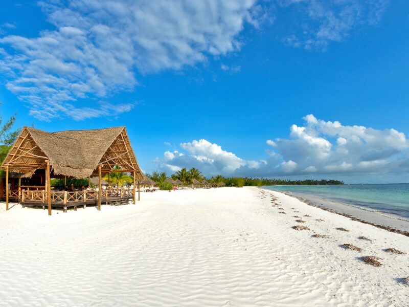 Safari and Beach in Kenya and Tanzania