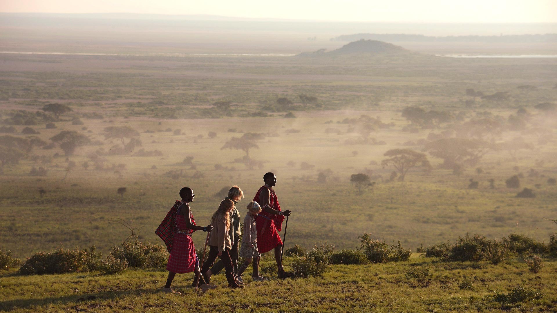 Bush Walks at Dawn