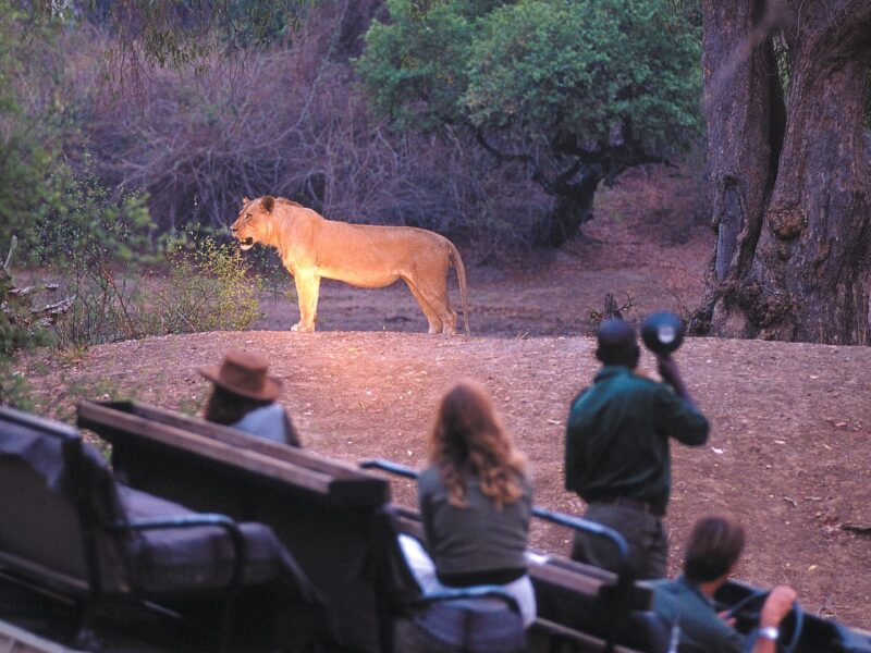 Family in Kenya and Tanzania