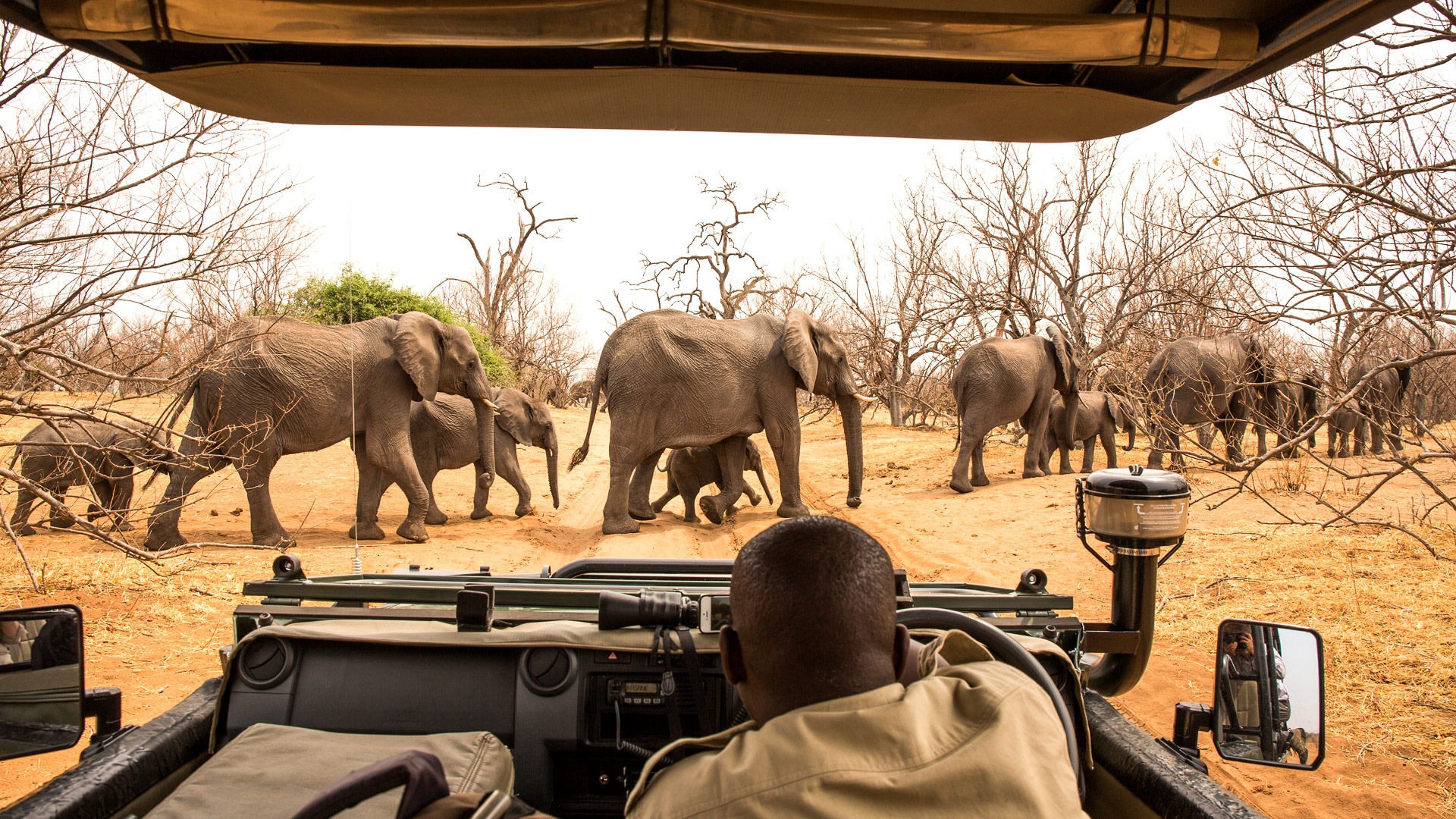 Safari landscape at sunset