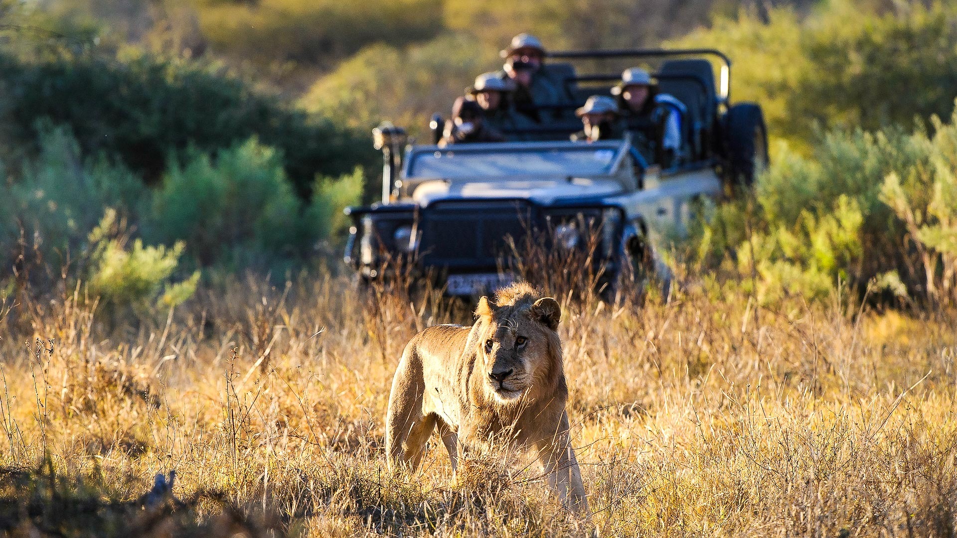 Private Game Drives