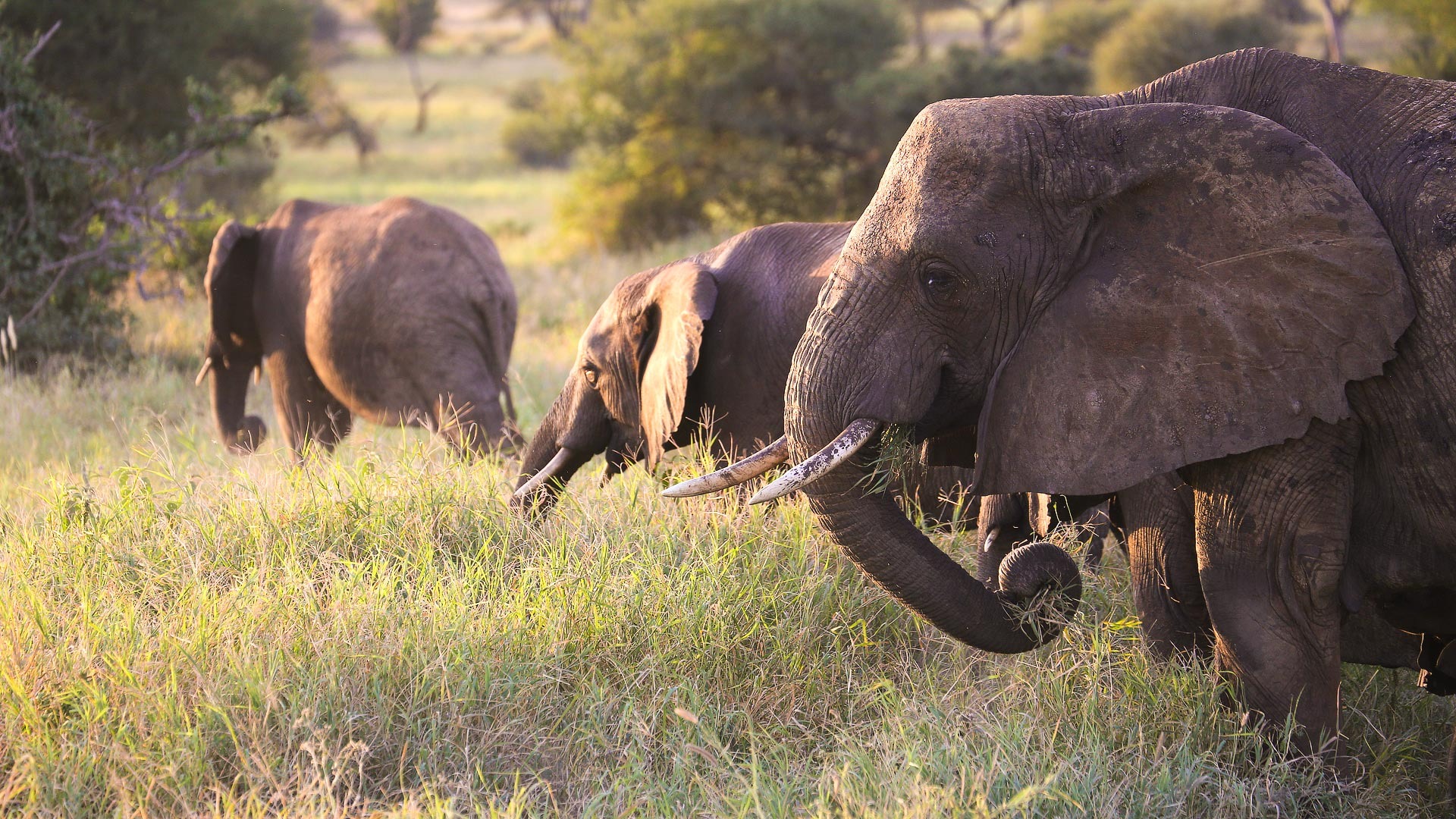 10-Day Kenya Safari