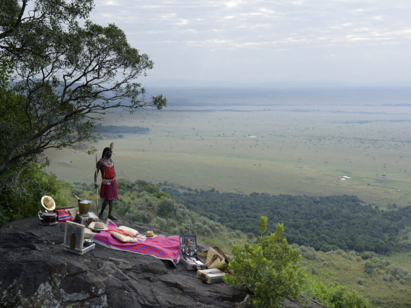 The Grand Kenya Safari — safari photograph