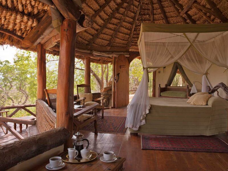 The Grand Kenya Safari — safari photograph