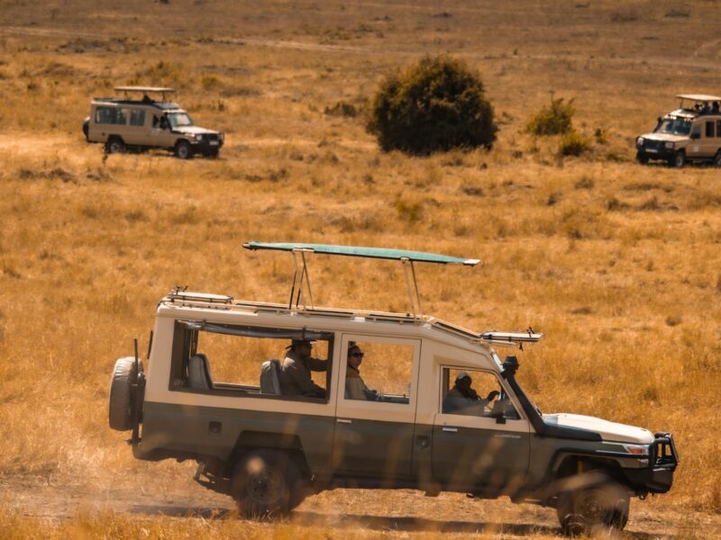 Safari Land Cruiser — photograph