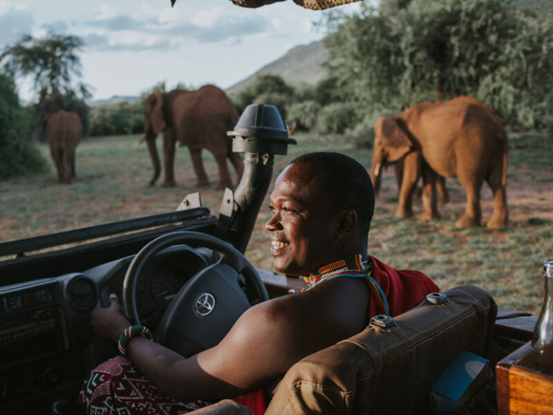 The Grand Kenya Safari — safari photograph