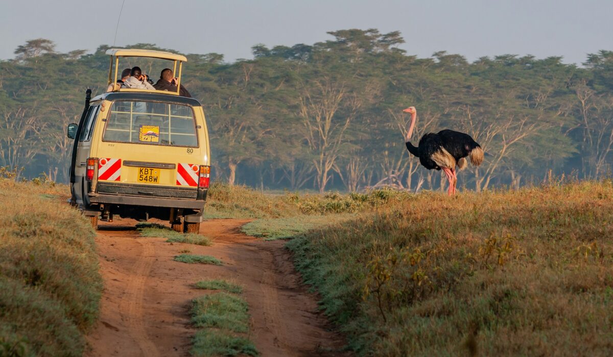 Safari Van