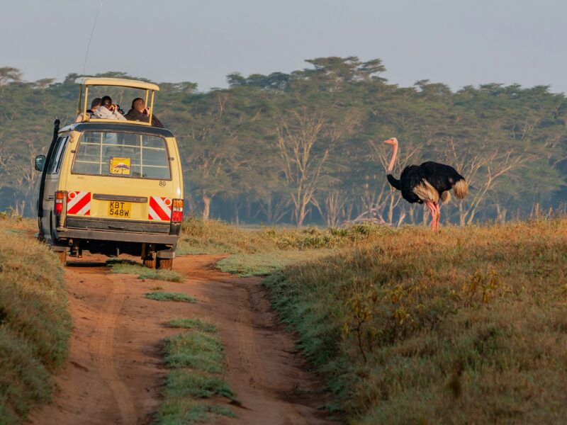 Safari Van — photograph