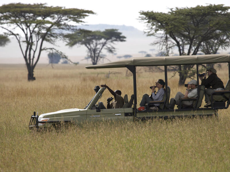 The Grand Kenya Safari — safari photograph