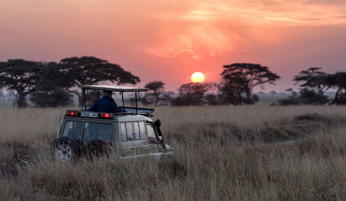 Safari Land Cruiser