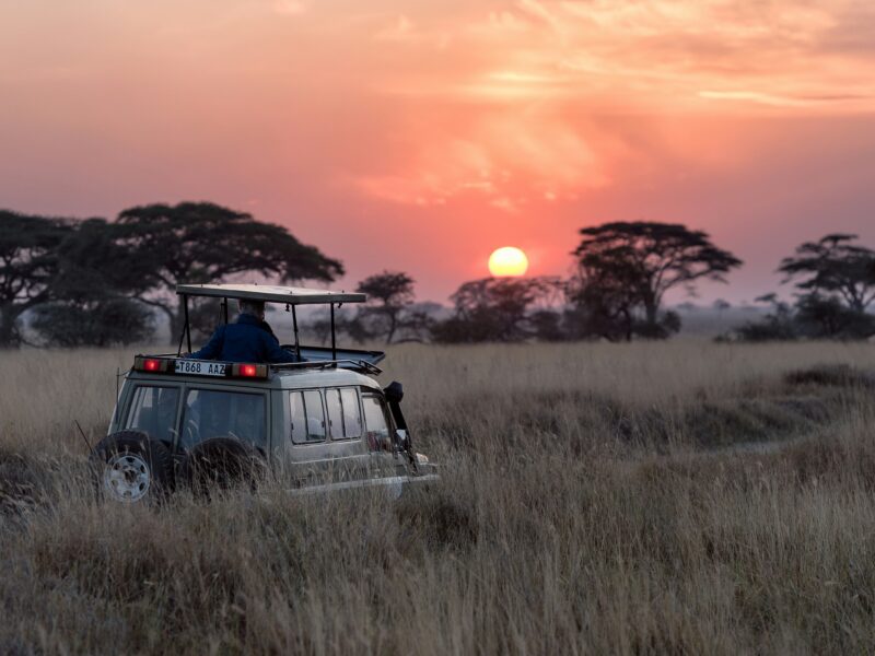 Safari Land Cruiser — photograph