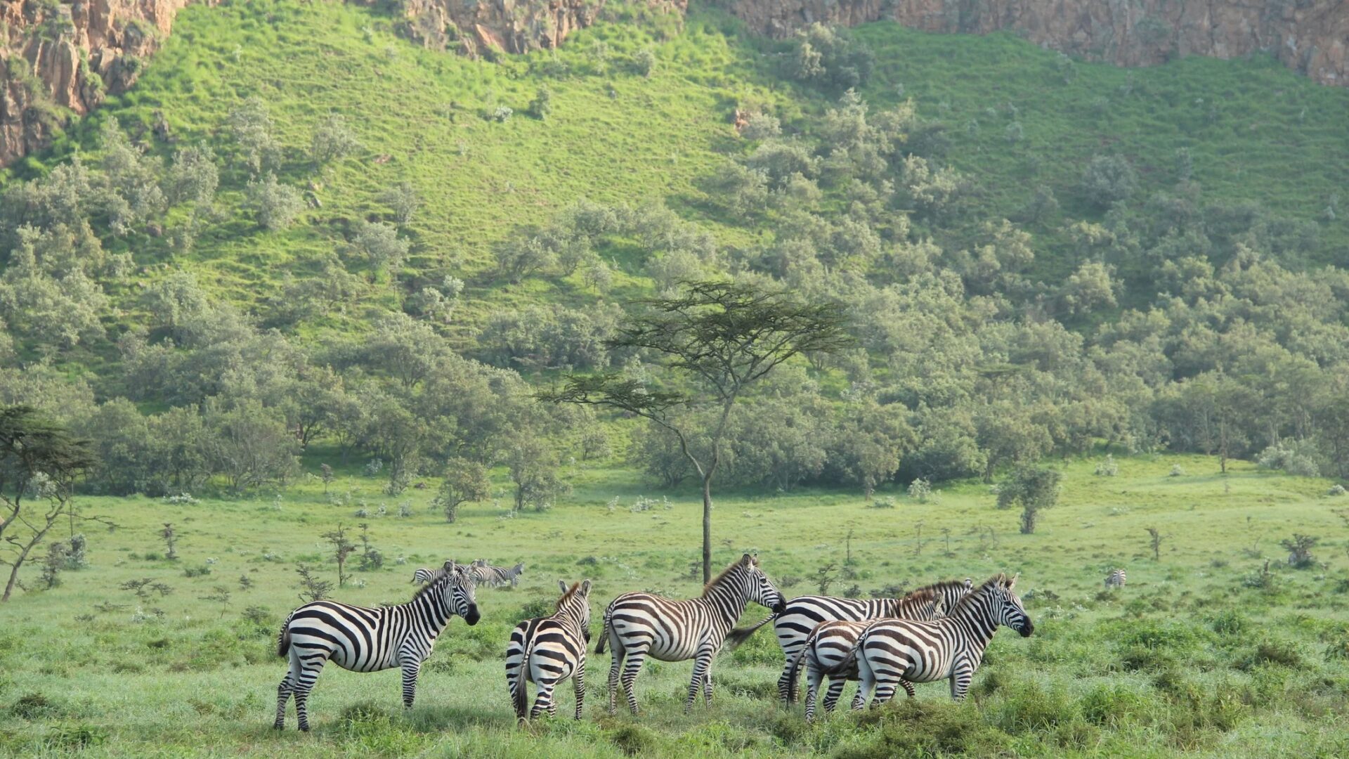 2-Day Lake Naivasha Safari