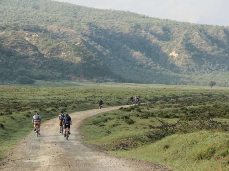 2-Day Lake Naivasha Safari — safari photograph