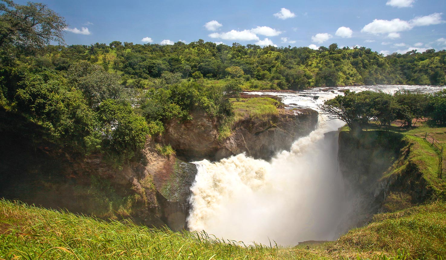 Uganda safari landscape